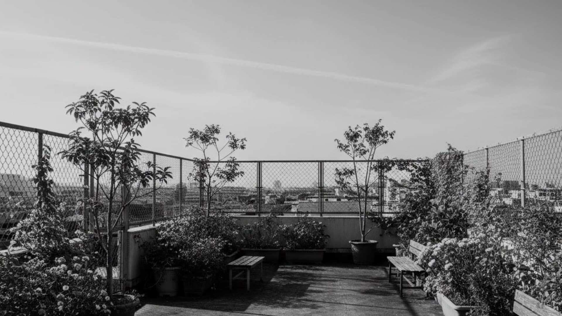 無人の屋上。気持ちのいい青空が広がっている