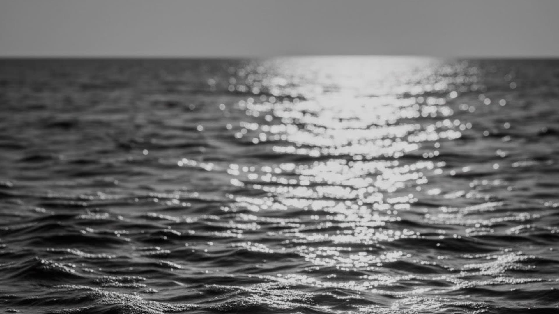 流動性を象徴する、おだやかな海の海面。どことなくプールも連想される。