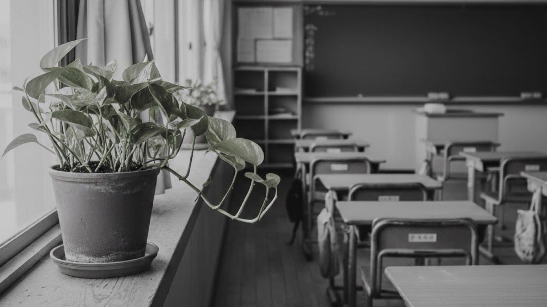 教室の窓際に象徴的に植木鉢が置いてある。