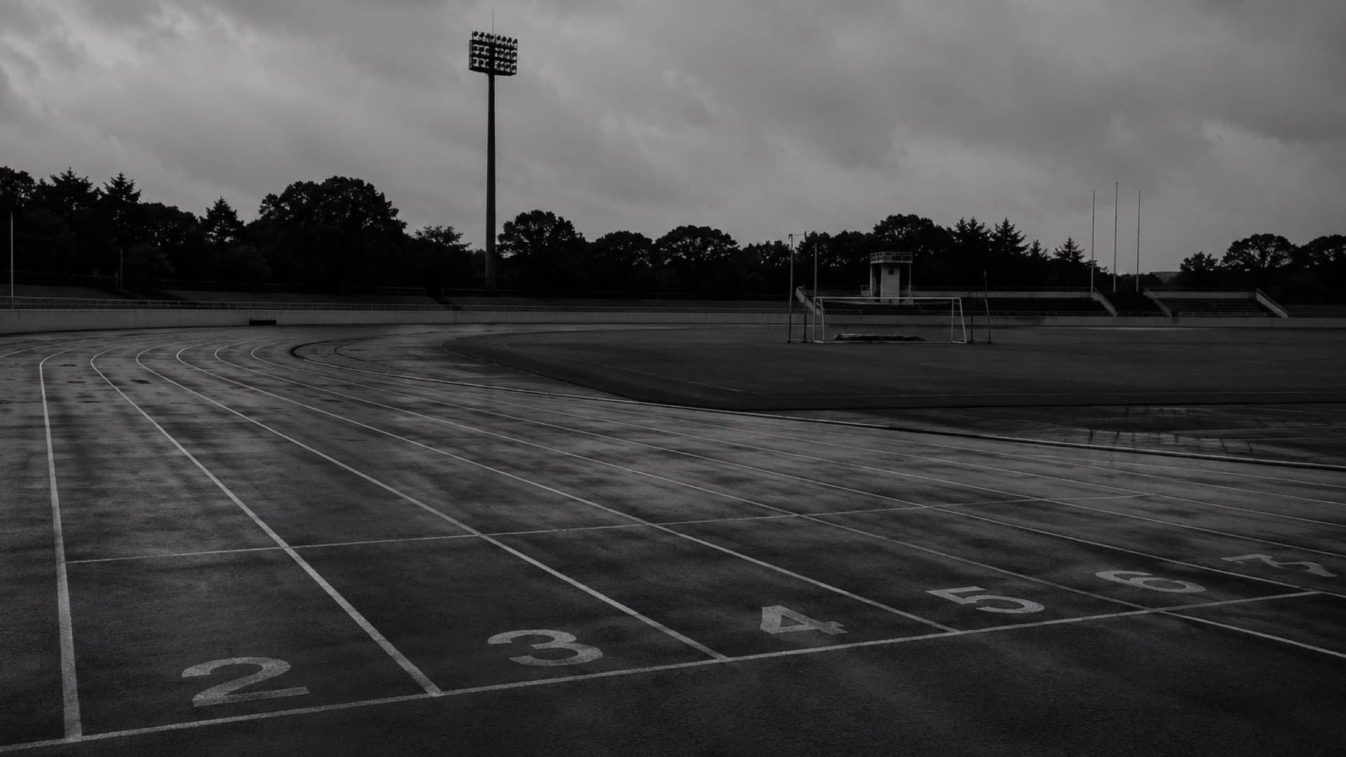 雨上がりの陸上競技場。手前に2から6のレーン番号が並び、奥には照明塔とサッカーゴール、木立が見える。